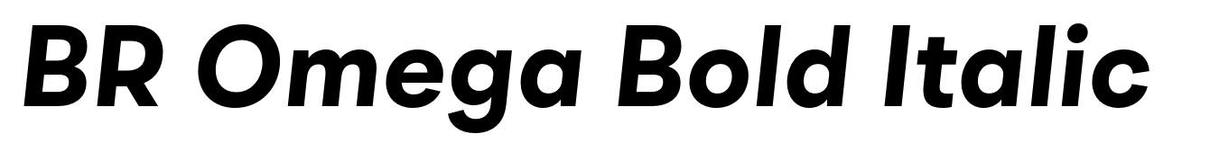 BR Omega Bold Italic